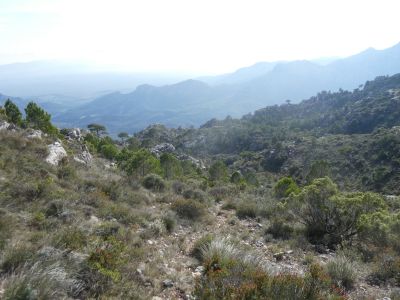 Vue Desferracavalls 2