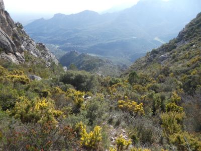 Vue Desferracavalls 4