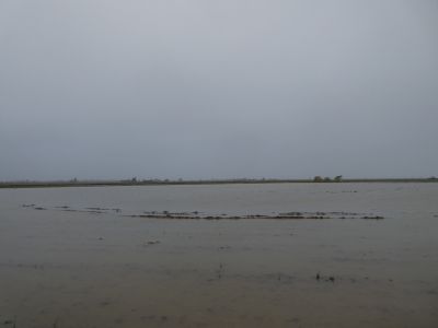 Vue Canal Vell 2