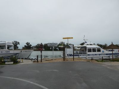 Croisement Golondrinas