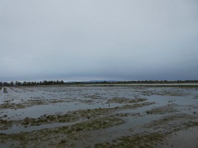 Vue Montagut