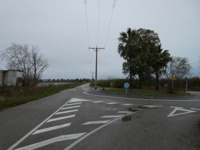 R-P Llotja