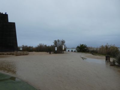 Desembocadura