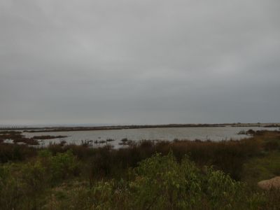 Vue Platja Riumar