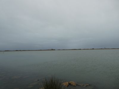 Vue Desemb