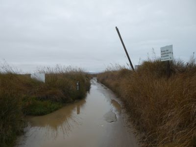 Croisement Garxal