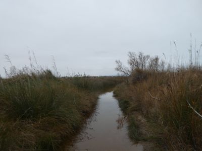 Vue sentier Garxao