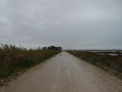 Vue Camí Tortosa