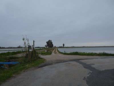 Croisement Guixes