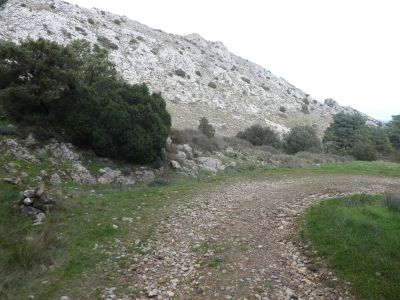 Croisement Teix