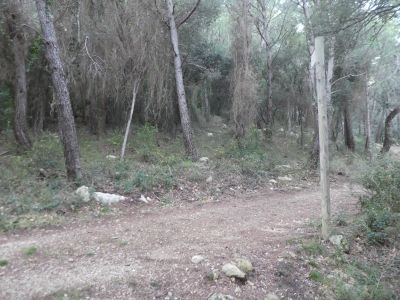 Croisement après Ametleral 4