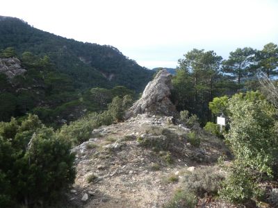 Coll Canals