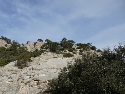 Vue montée Canals