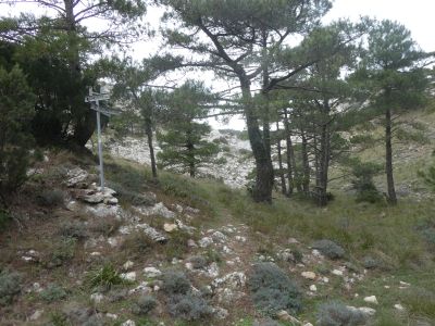 Vacarissal