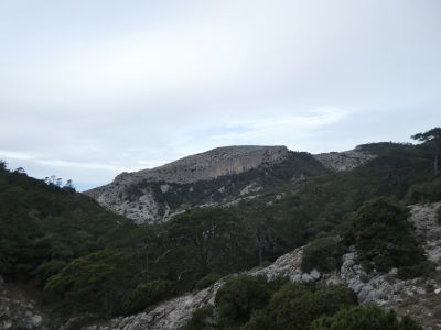 Vue Malladeta