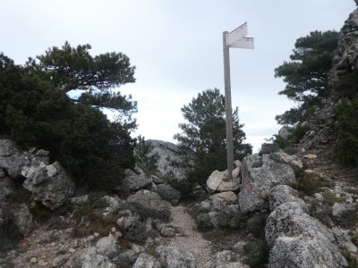 Croisement Aigua