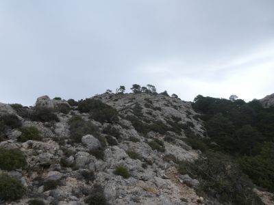 Vue montée Aigua
