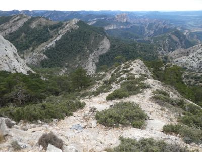 Descente Aigua