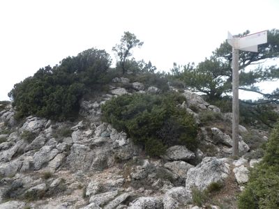Croisement Aigua 2