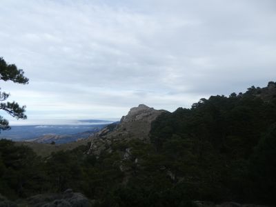Vue Engrilló