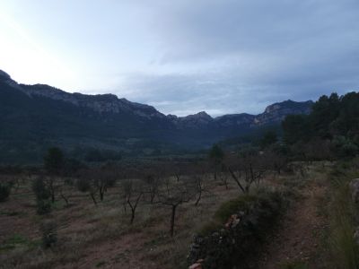 Vue Vall Salt