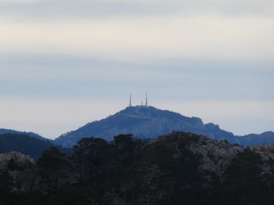 Vue Caro