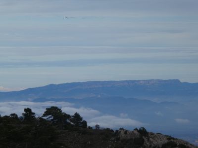 Vue Senyalets